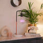Led Text bulbs